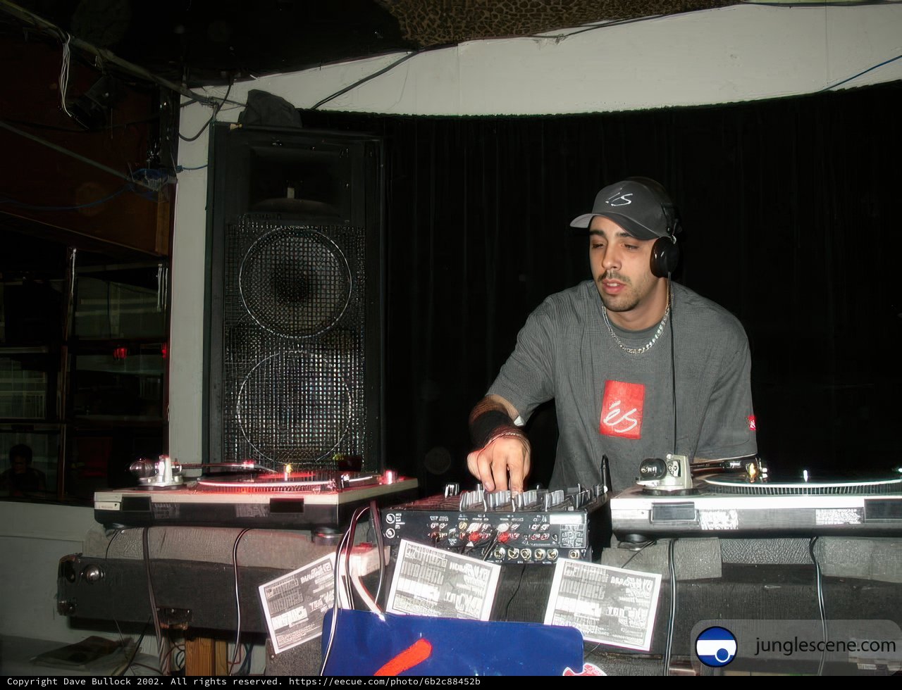 Grooving to the Beat with the DJ