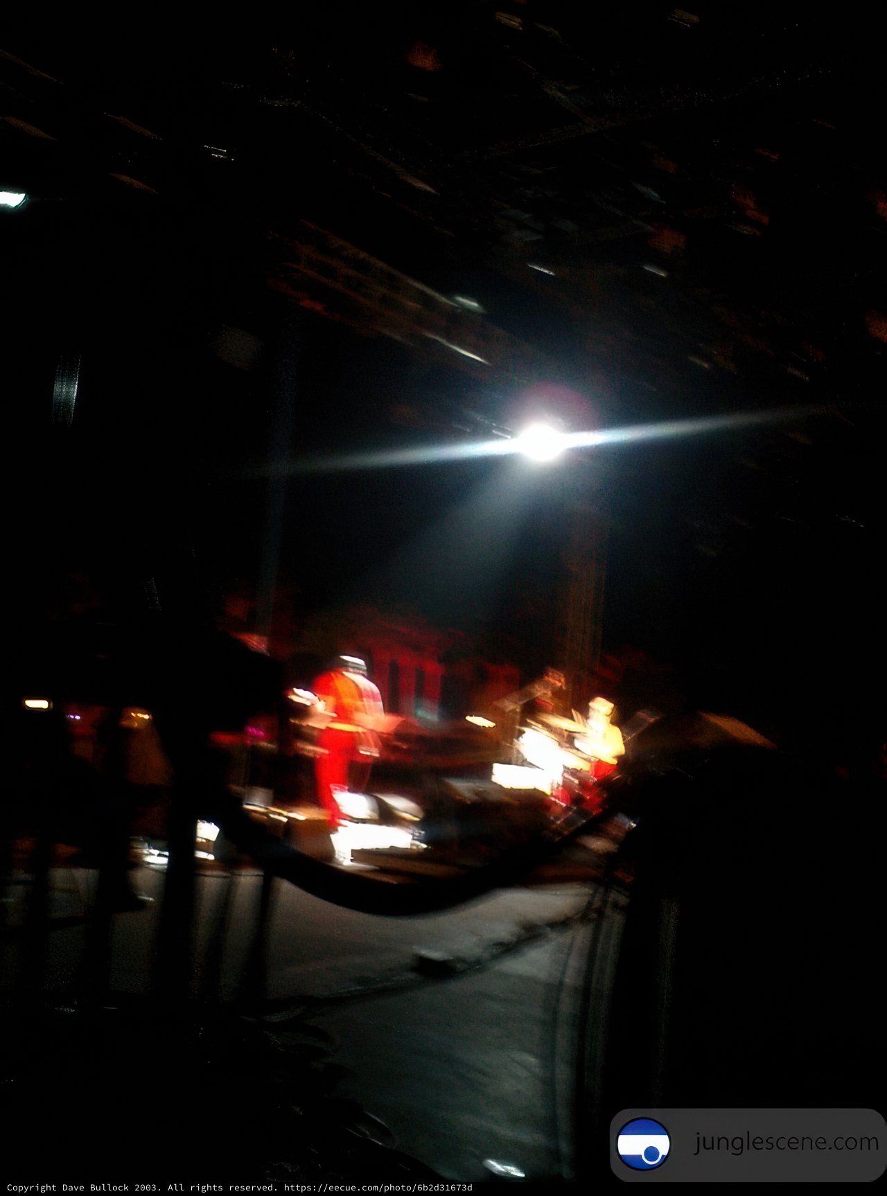 Nighttime Concert Chaos