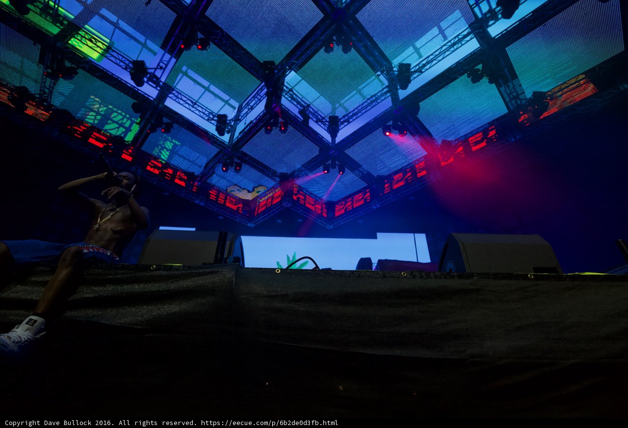 Illuminating the Crowd