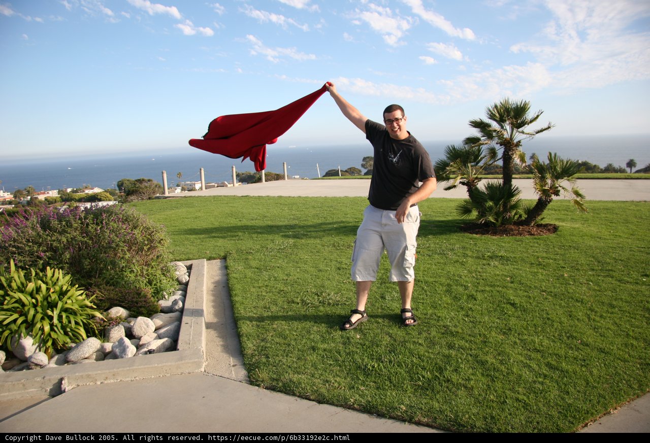 Soaring with Joy