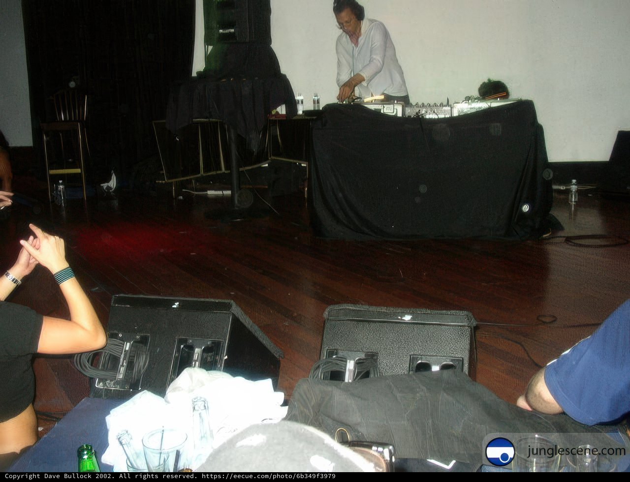 DJ Drops the Heat at Concert