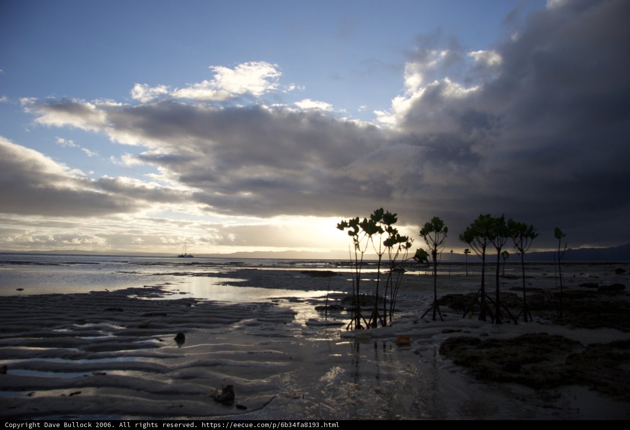 Solitude on the Beach
