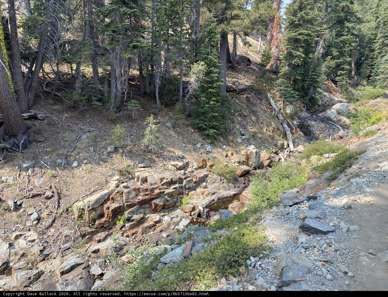 Trailside Treasures in Desolation Wilderness