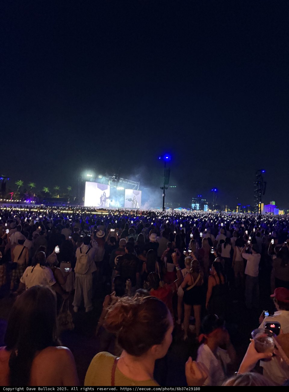 Electrifying Nights at Indio