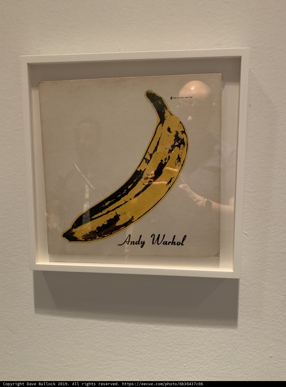 The Iconic Andy Warhol Banana