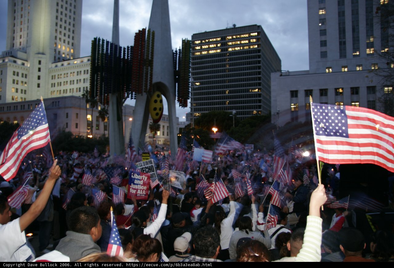 A Patriotic Crowd in the Metropolis