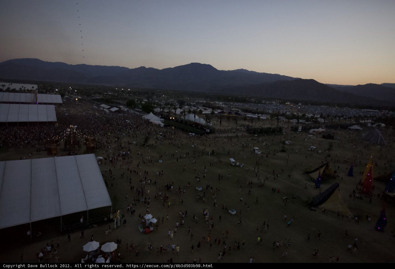 Desert Fest Crowd
