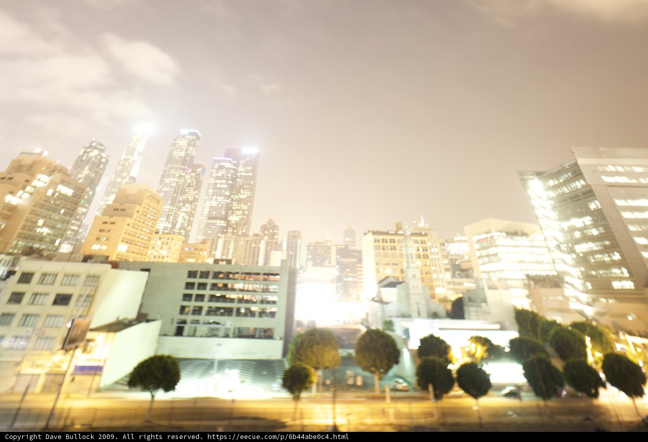 Night Lights in the Urban Jungle