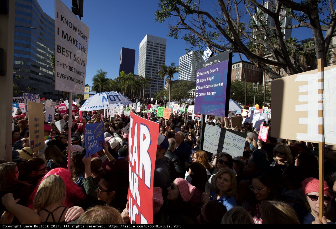 Marching for Women's Rights