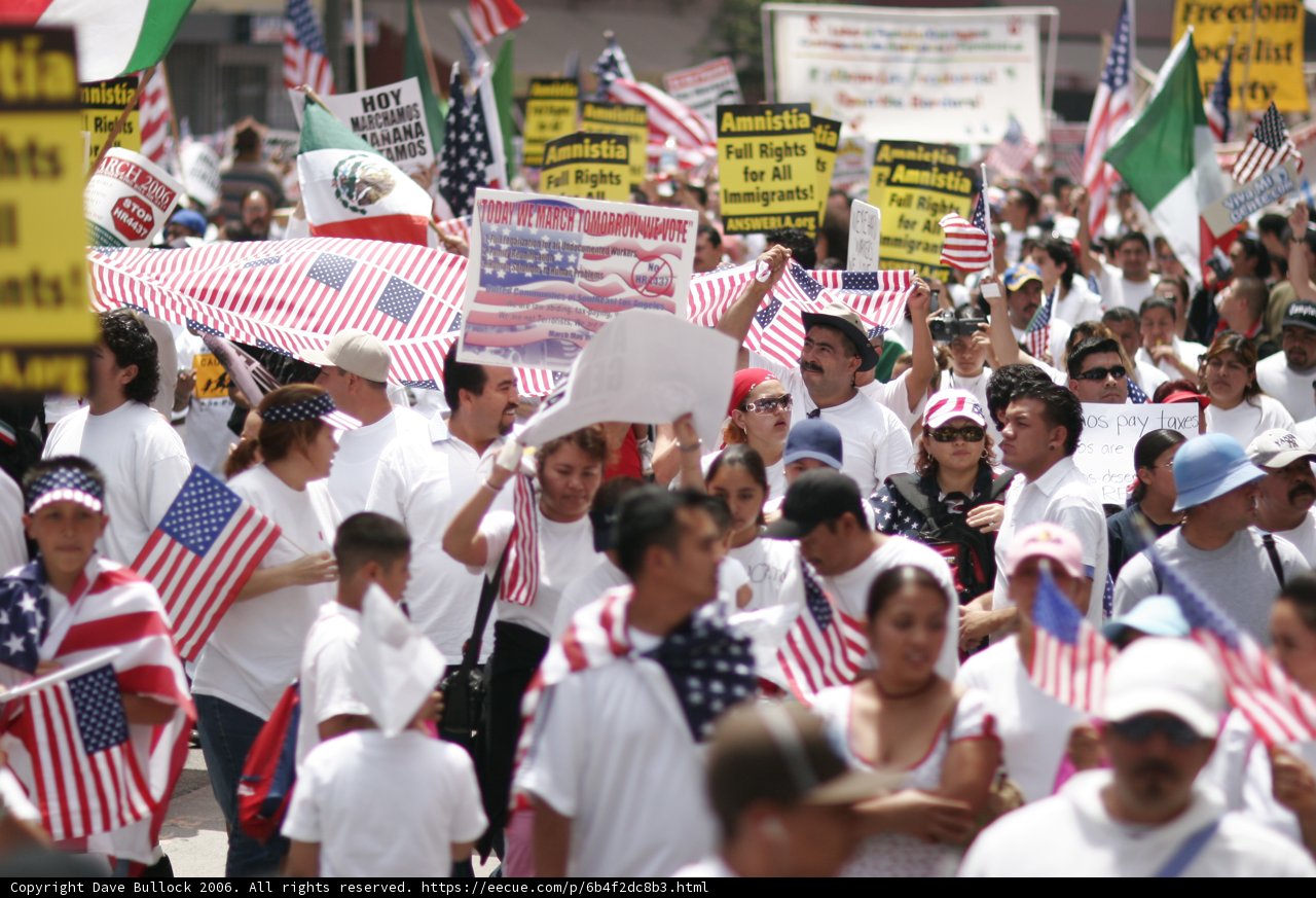 United in Flags