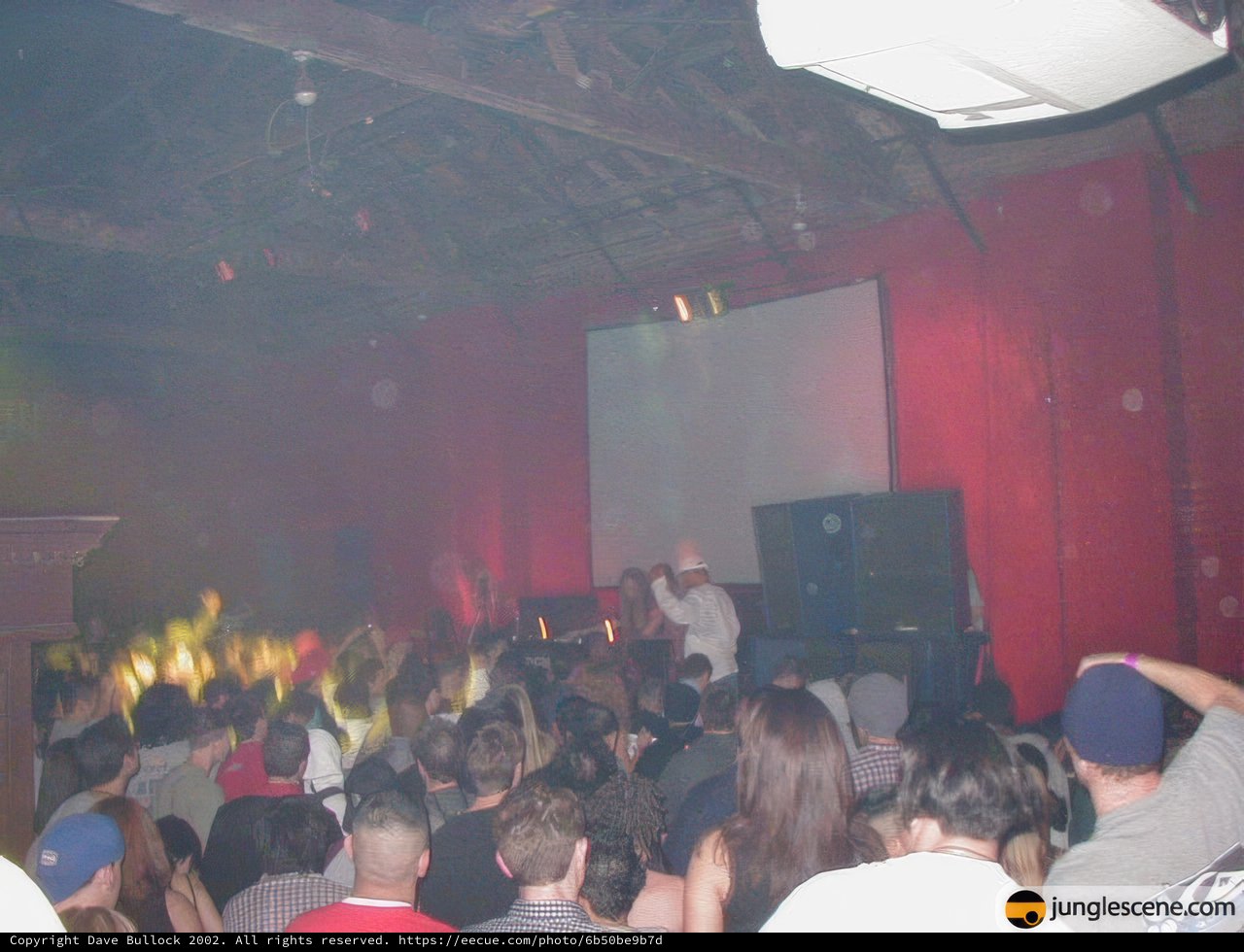 Smoke-Filled Nightclub Crowd