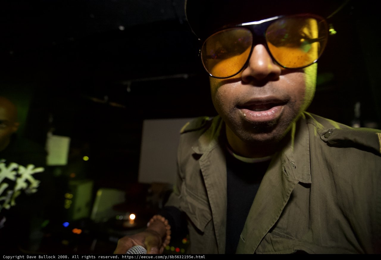 Cool Cat at the Club