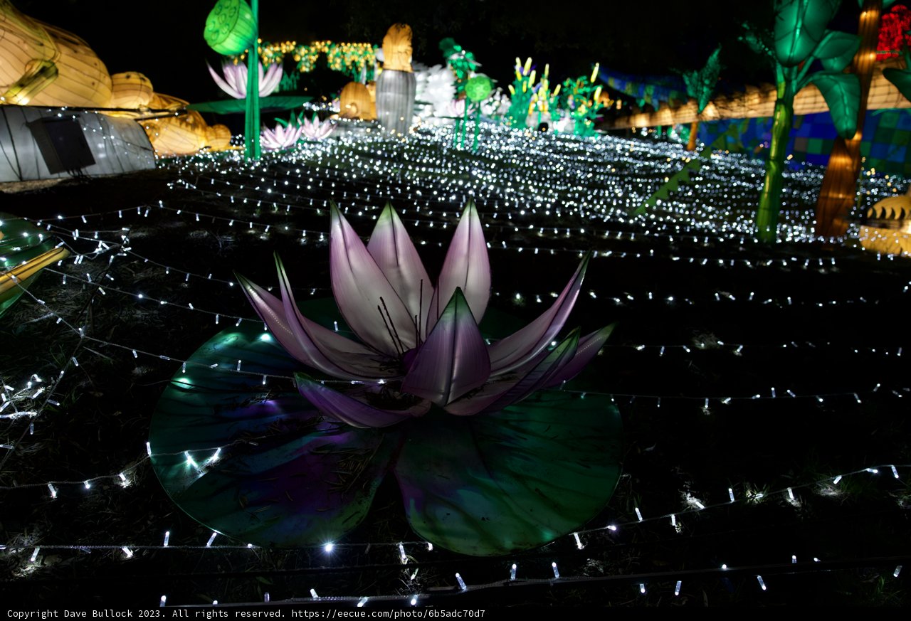 Urban Botanical Illumination