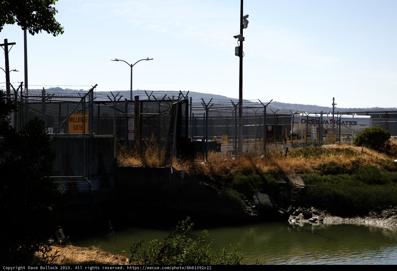 Serene View of Bayfront Park, 2023