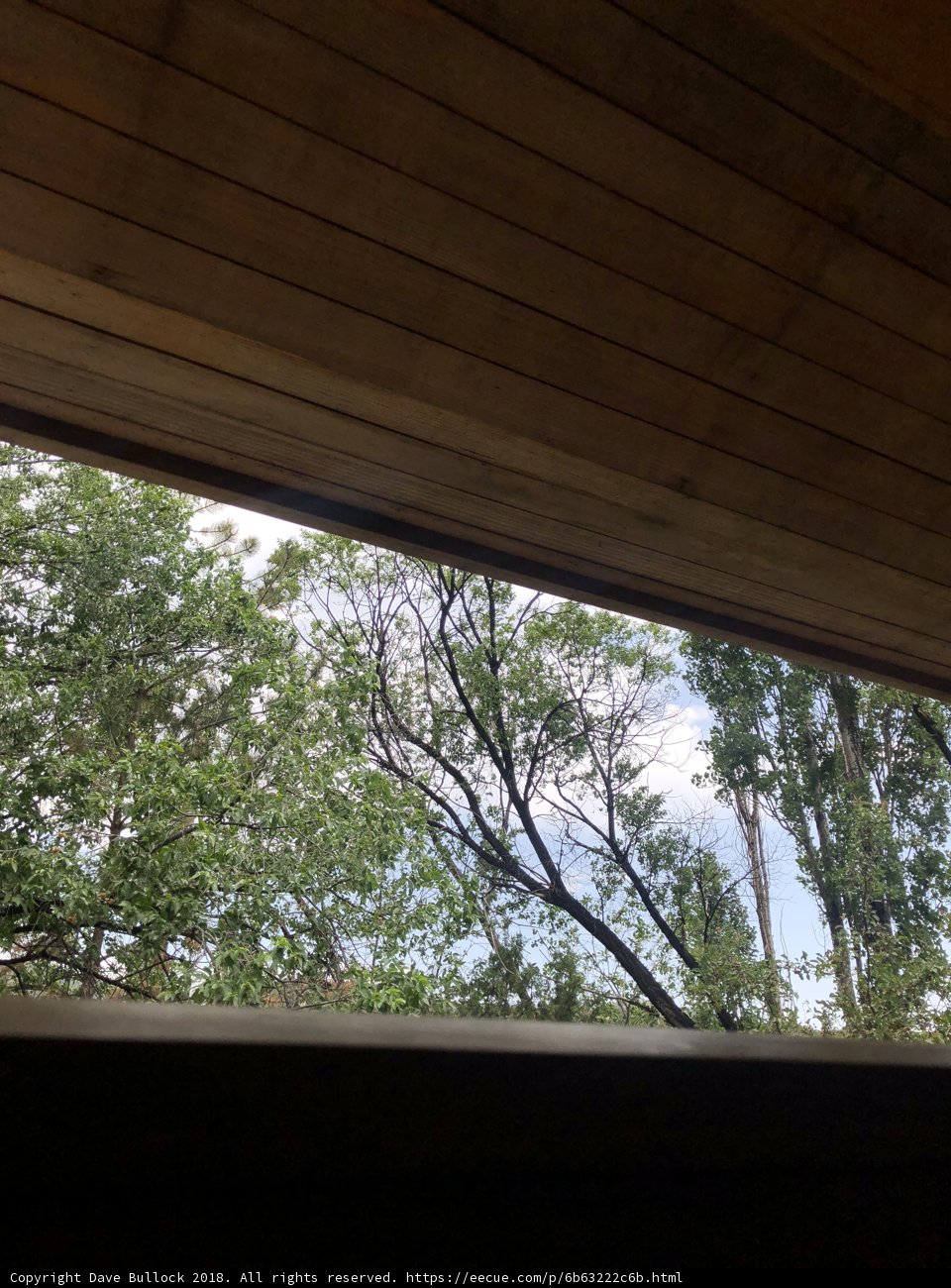 Wooden house in the midst of nature