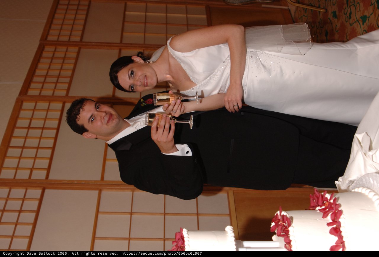 Newlyweds Toast with Champagne at Wedding Reception