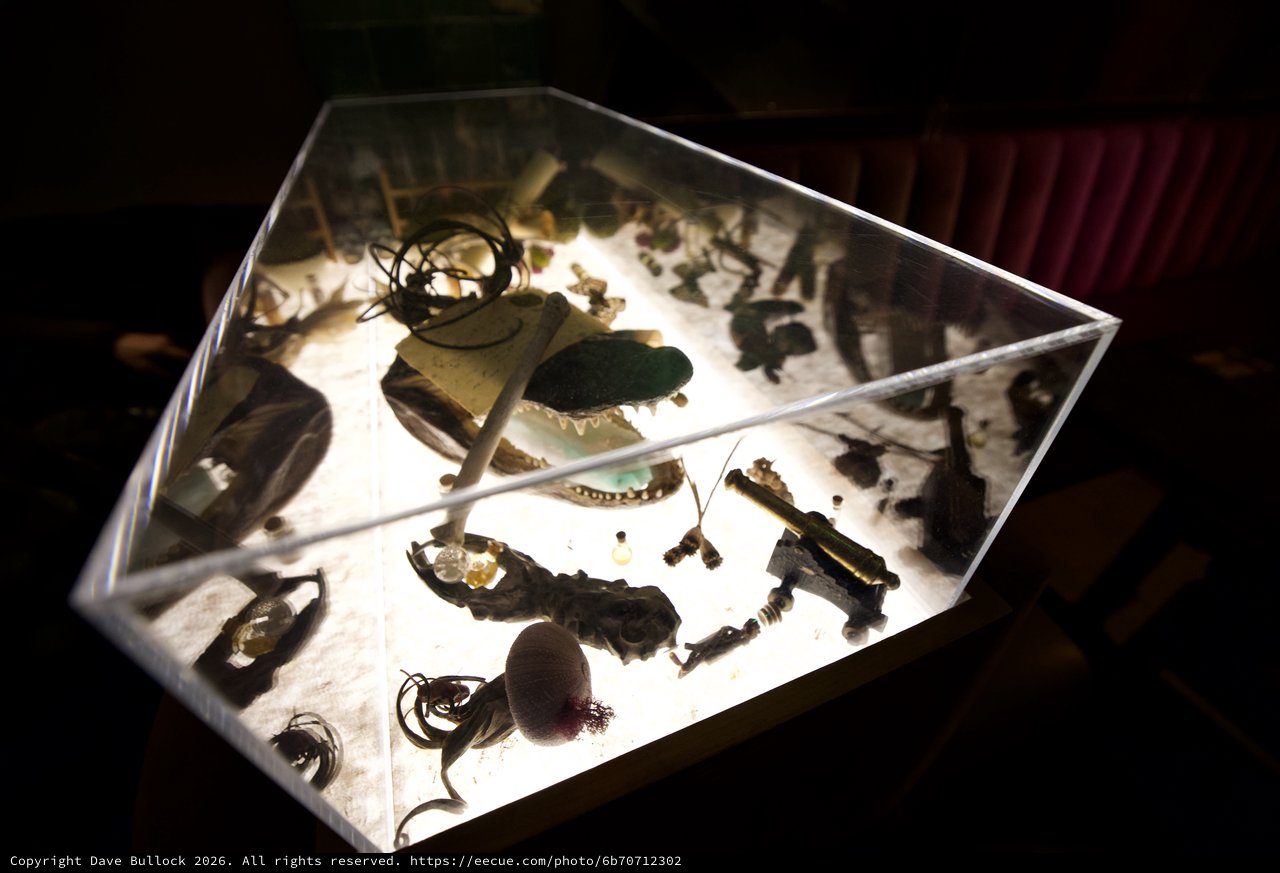 Illuminated Display Case of Archaeological Artifacts and Natural Specimens