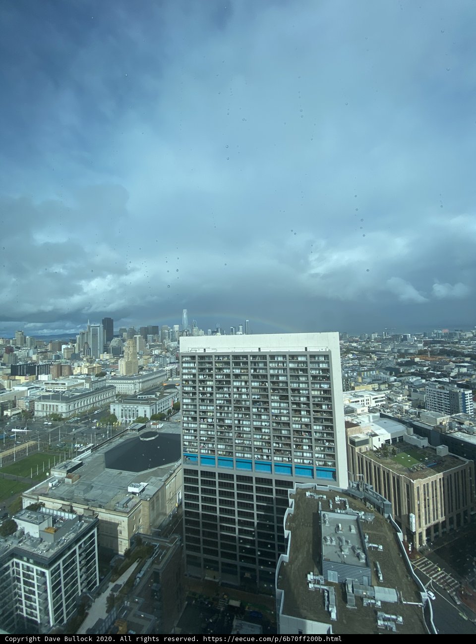 The Urban Jungle from Above