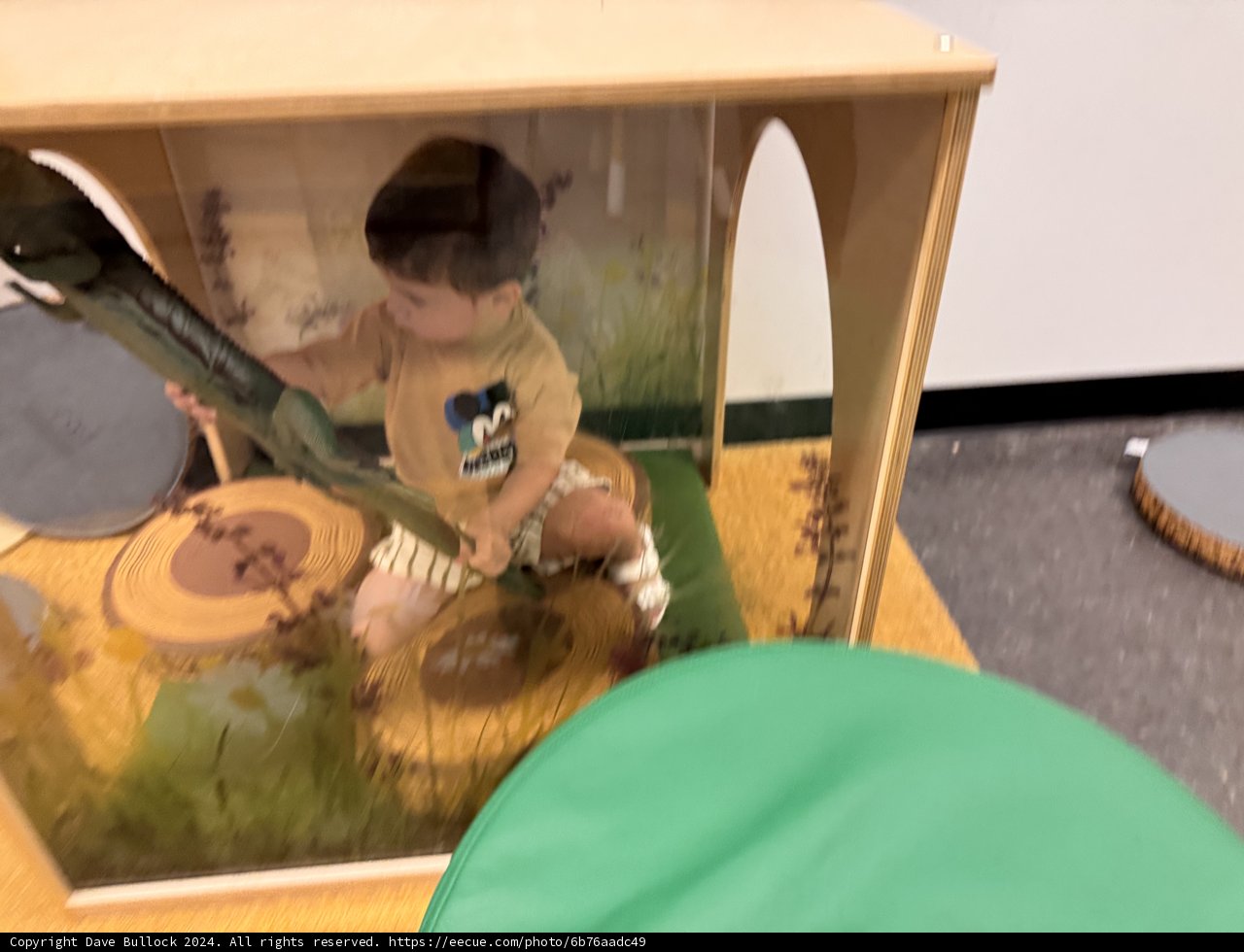 Adventure Time at The Lawrence Hall of Science