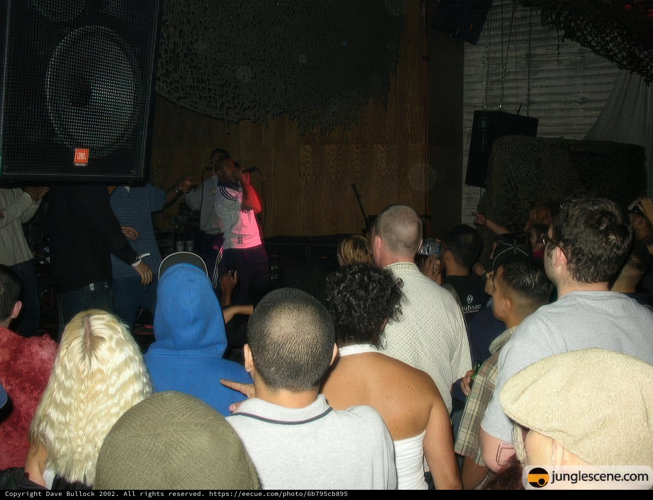 Electric Nightclub Performance