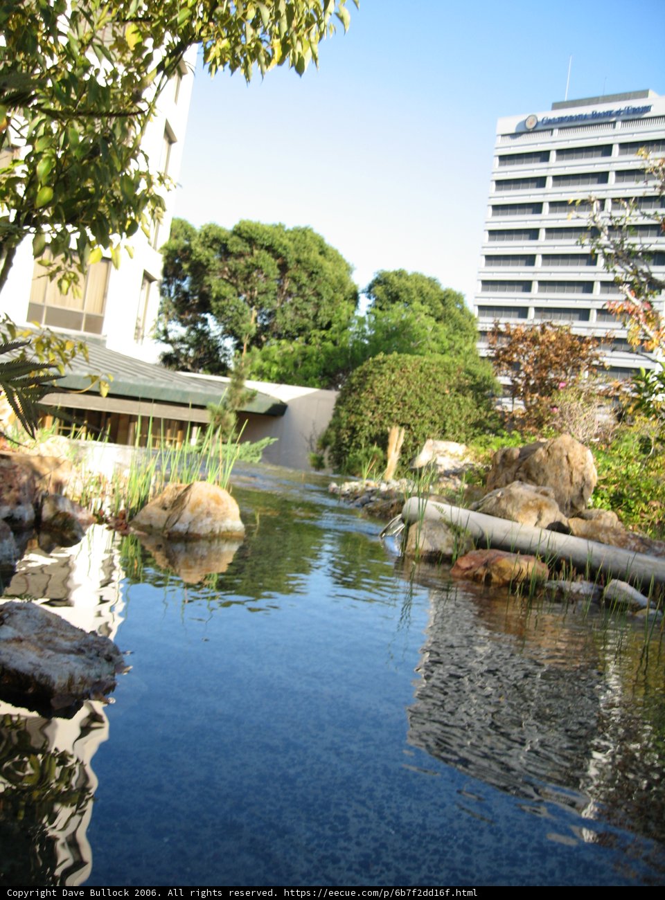 Serene Oasis in the Heart of the City