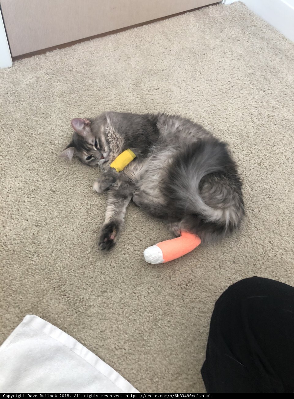 Injured but Content