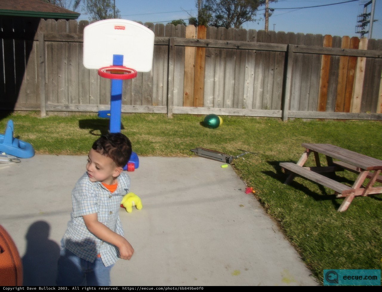 Backyard Basketball Fun