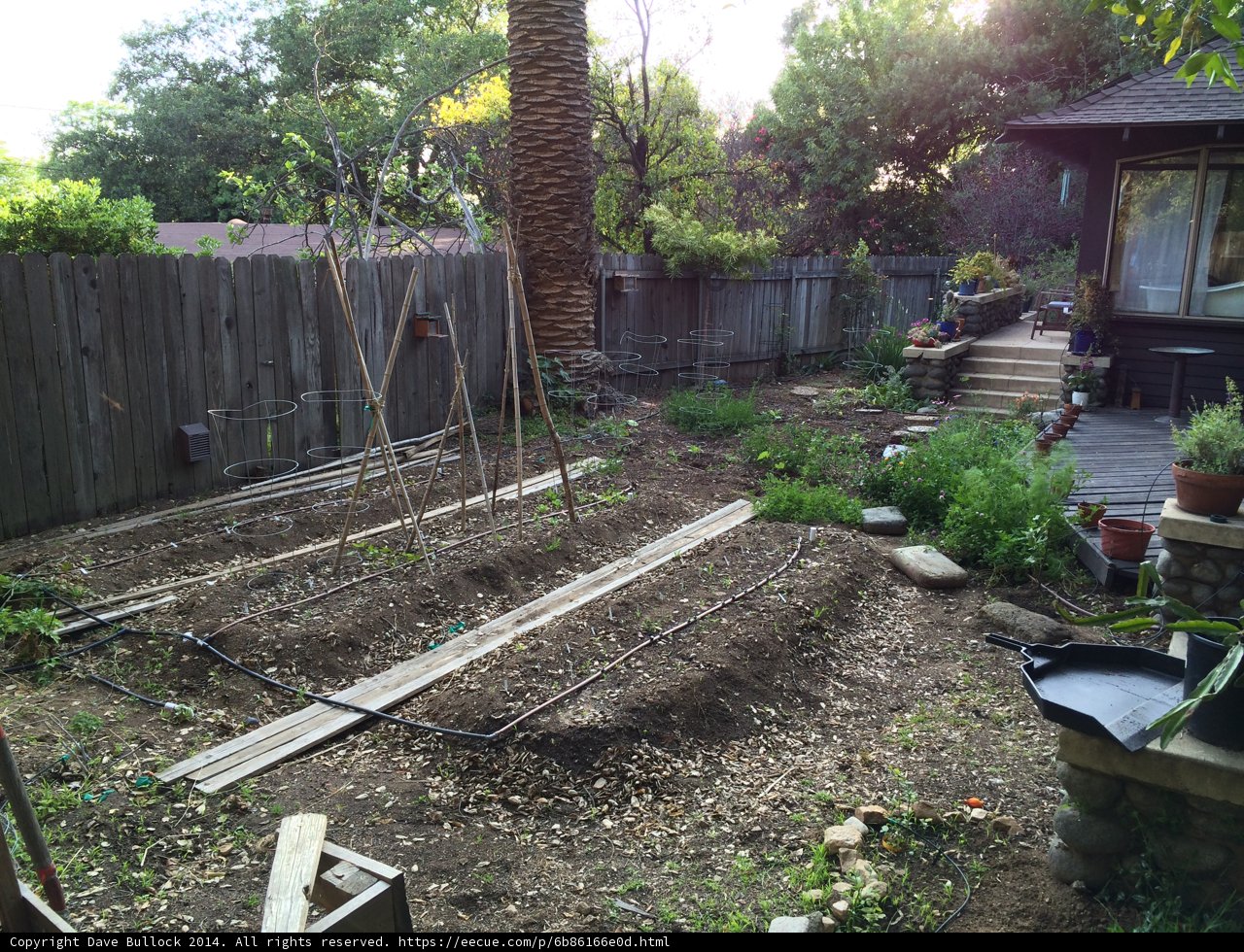 Serene Backyard Garden