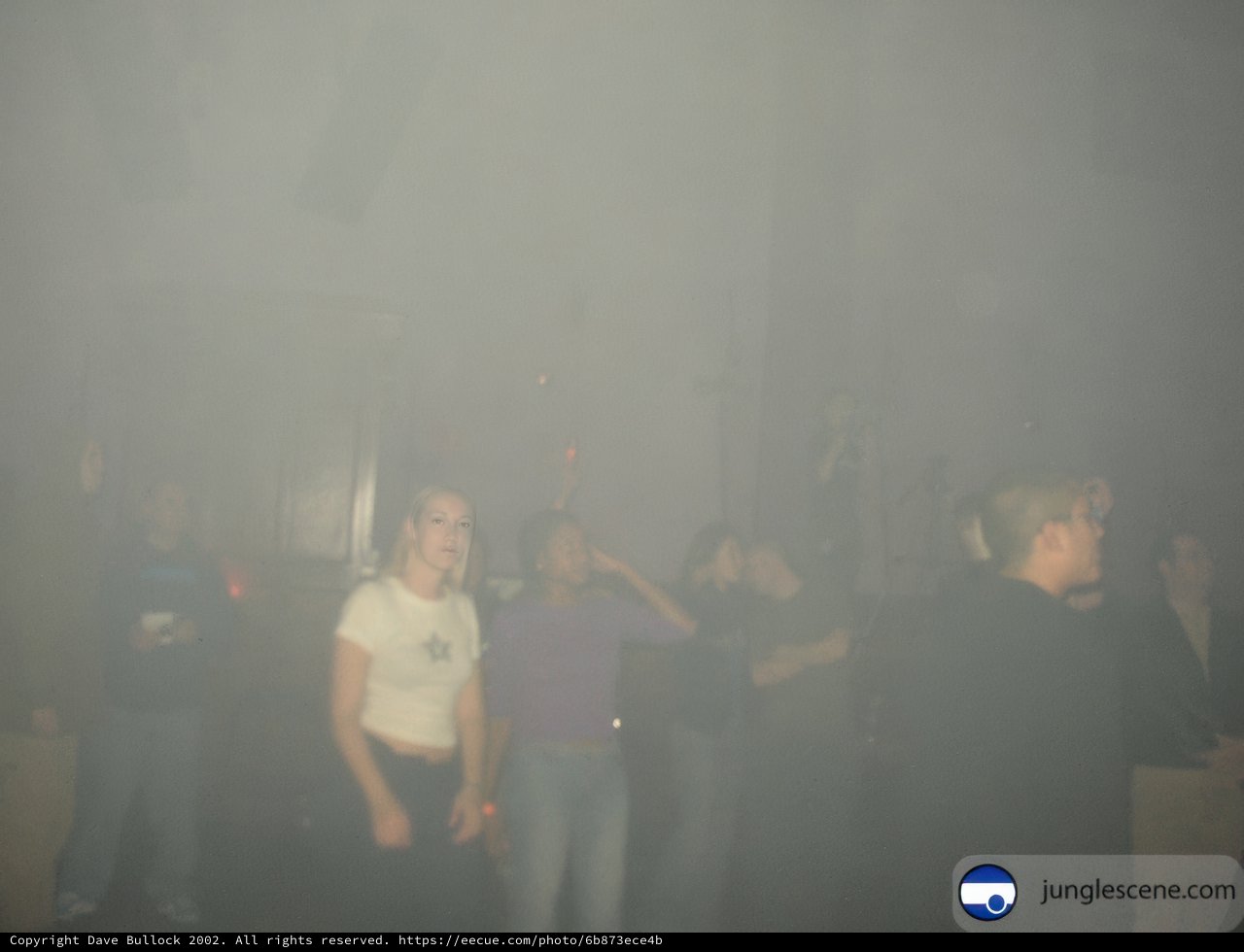 Party in the Smog