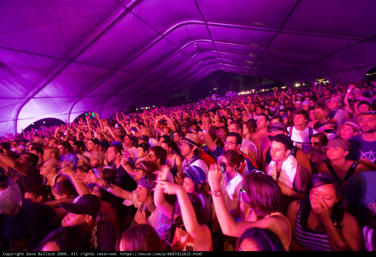 Purple Haze at Coachella 2008