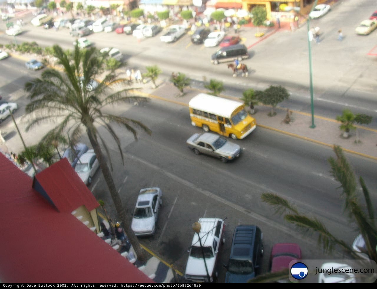 Bustling Street in Ensenada