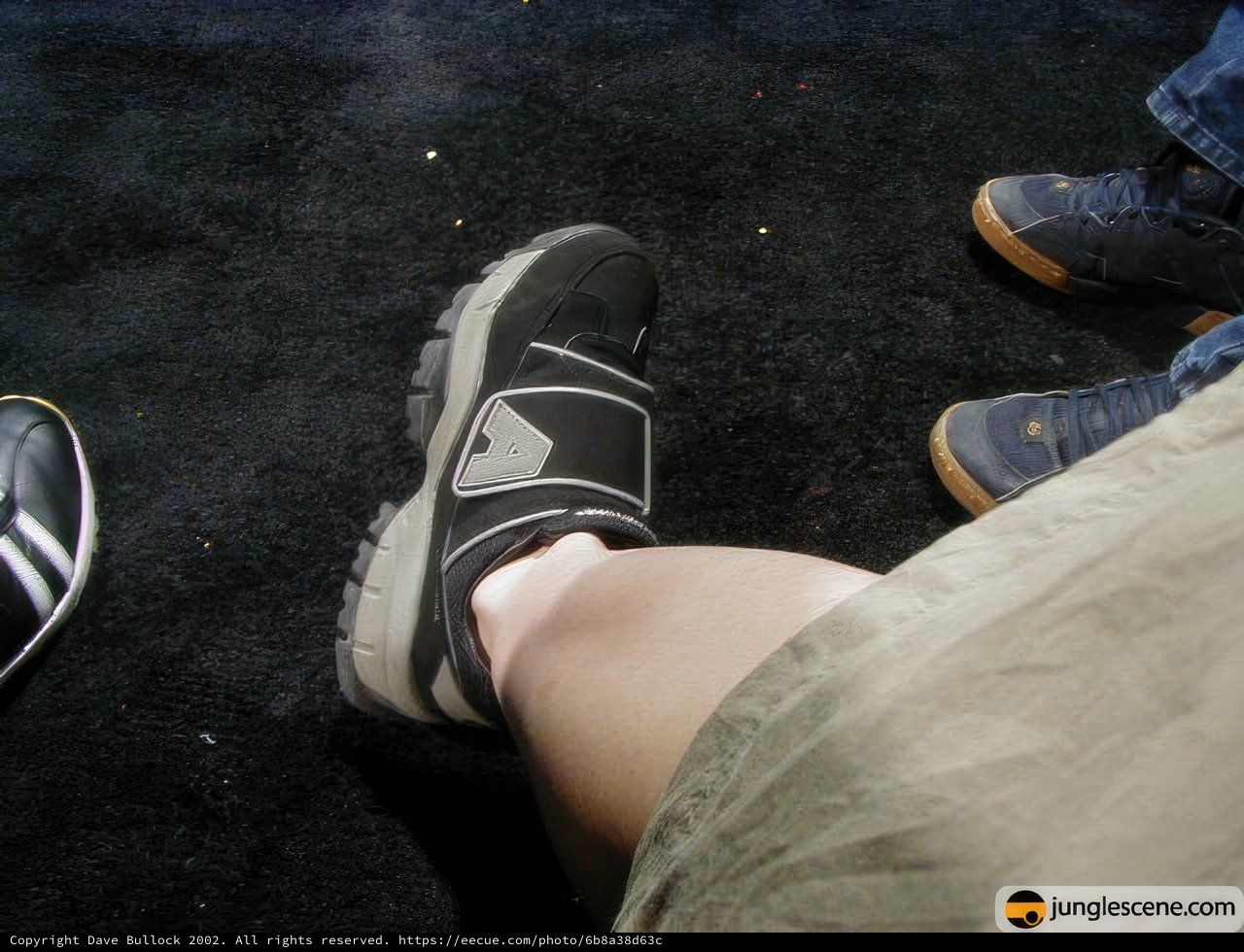 Sneaker Style