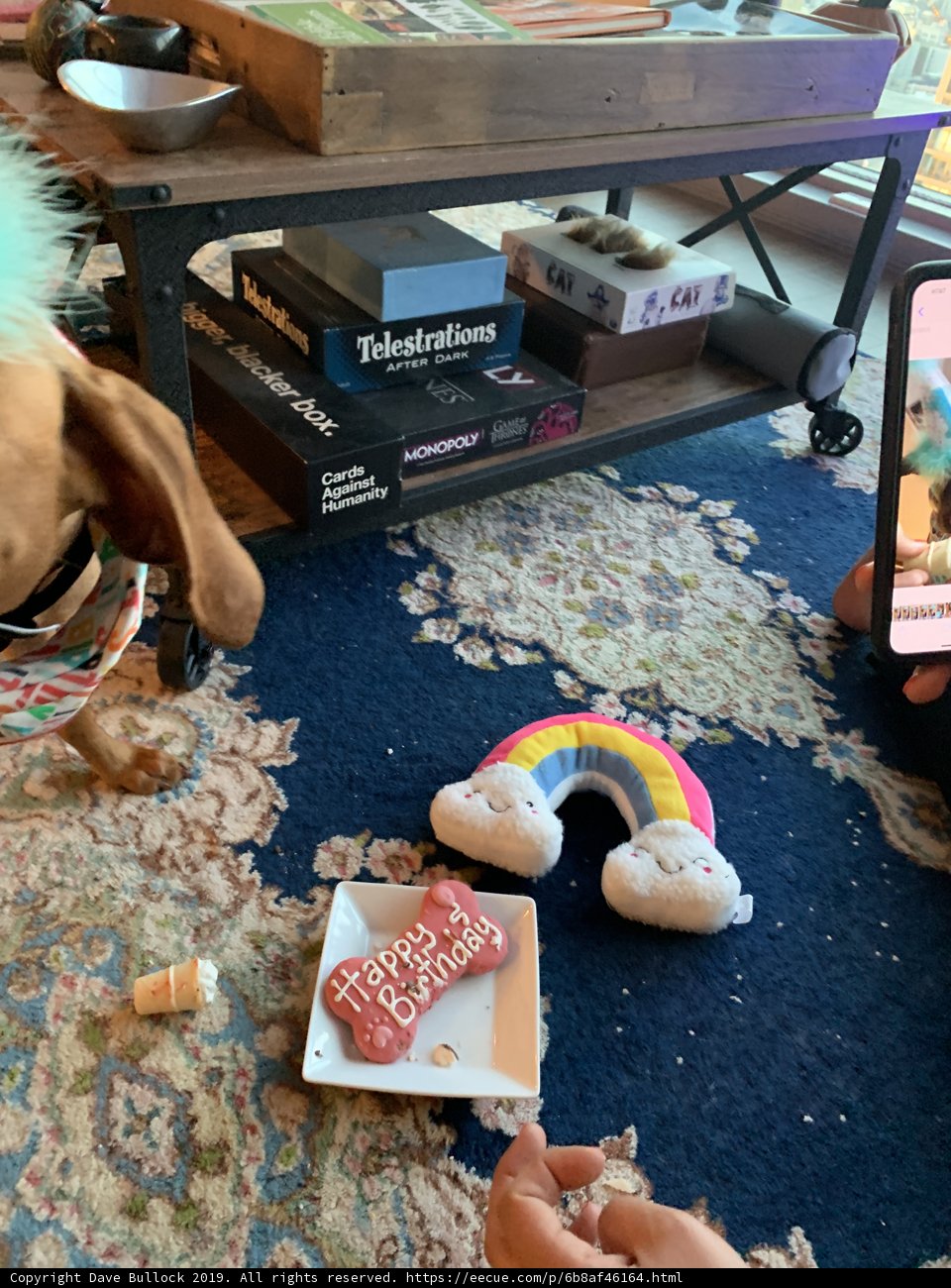 Rainbow Dog and Delicious Treats