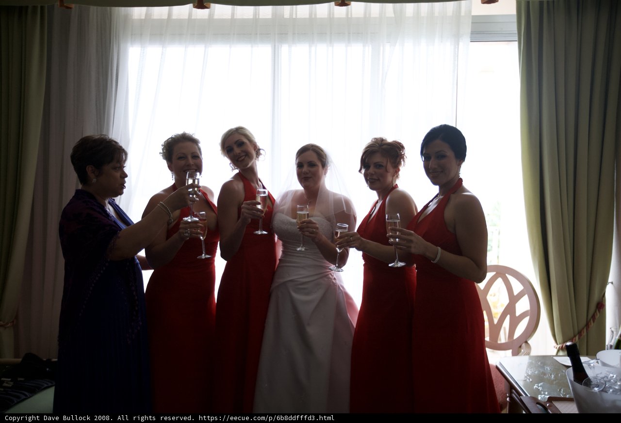 Ladies in Red