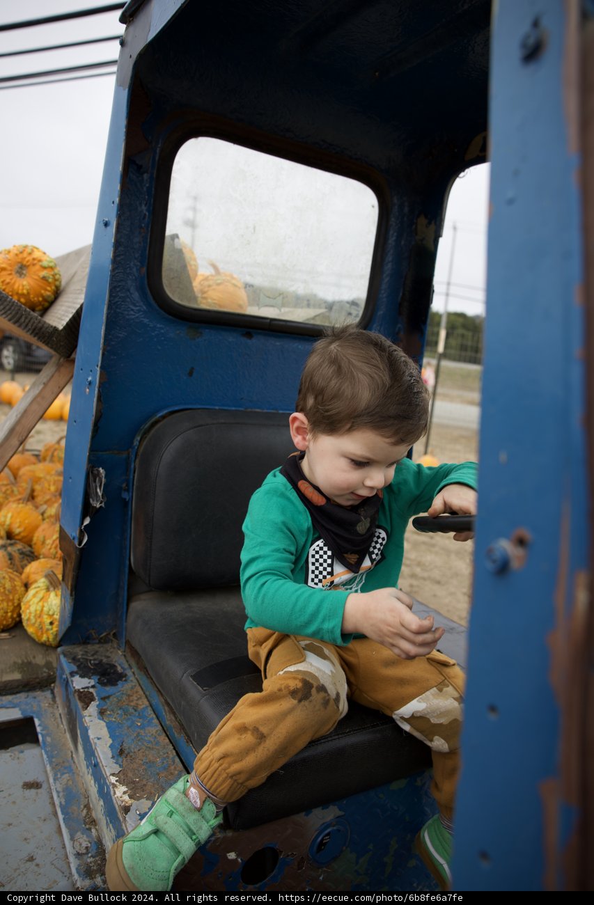 Little Explorer on an Autumn Ride