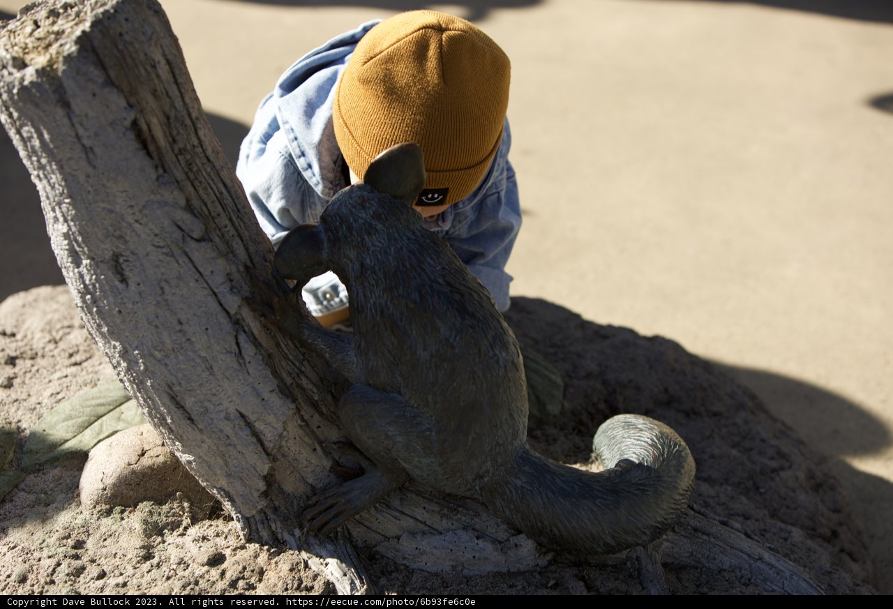 Childish Wonder: A Young Explorer at the SF Zoo