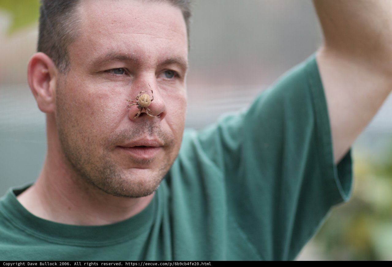 The Mark on his Nose