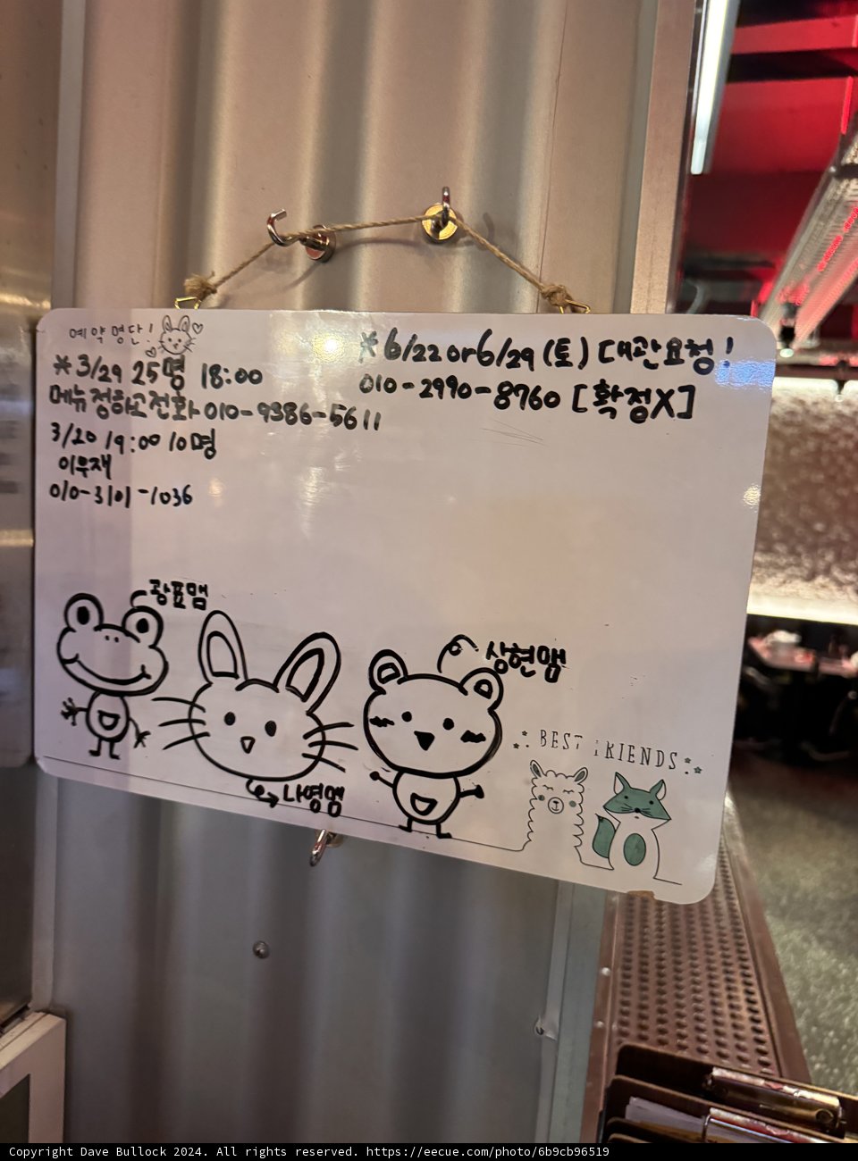 Whimsical Seoul City Kitty
