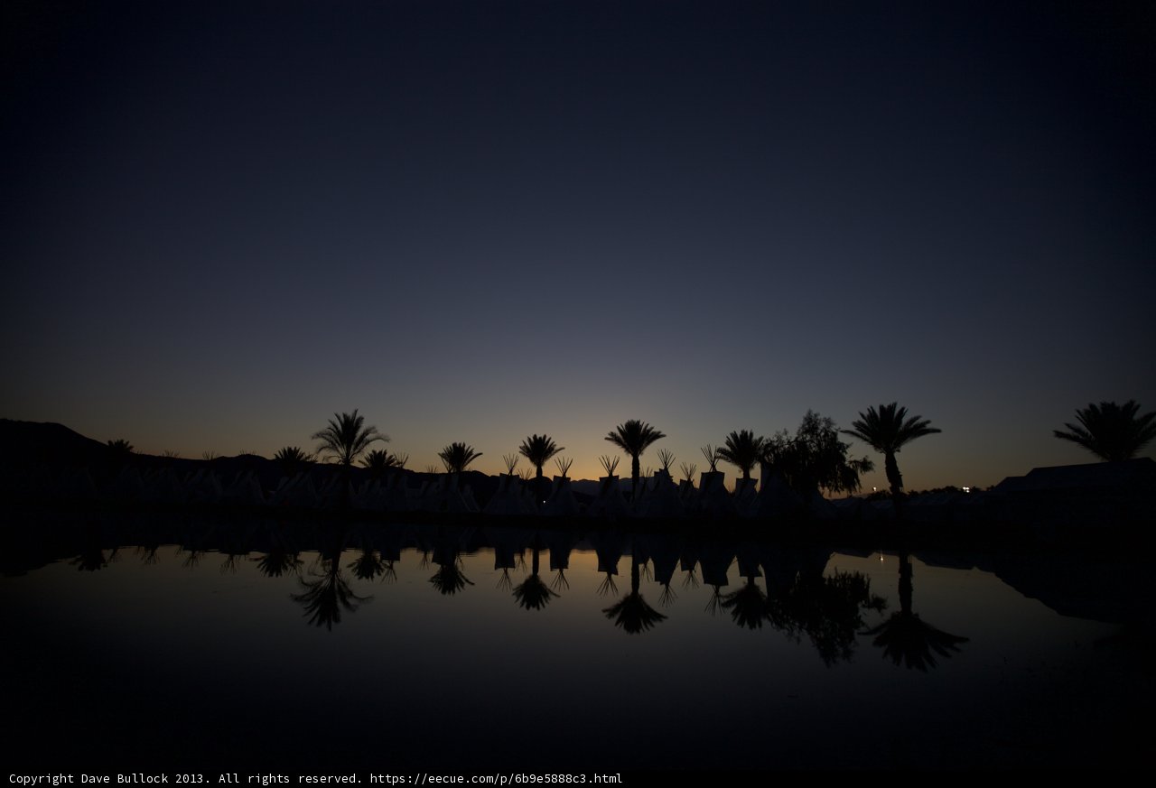 Sunset Silhouette of Palm Trees at Coachella