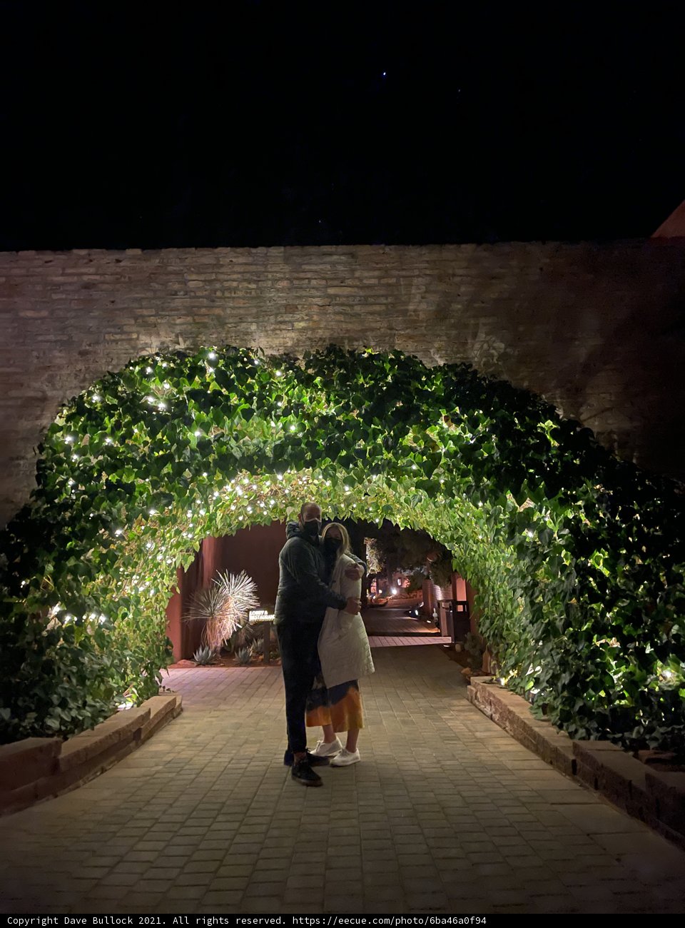 Ivy-covered Pathway
