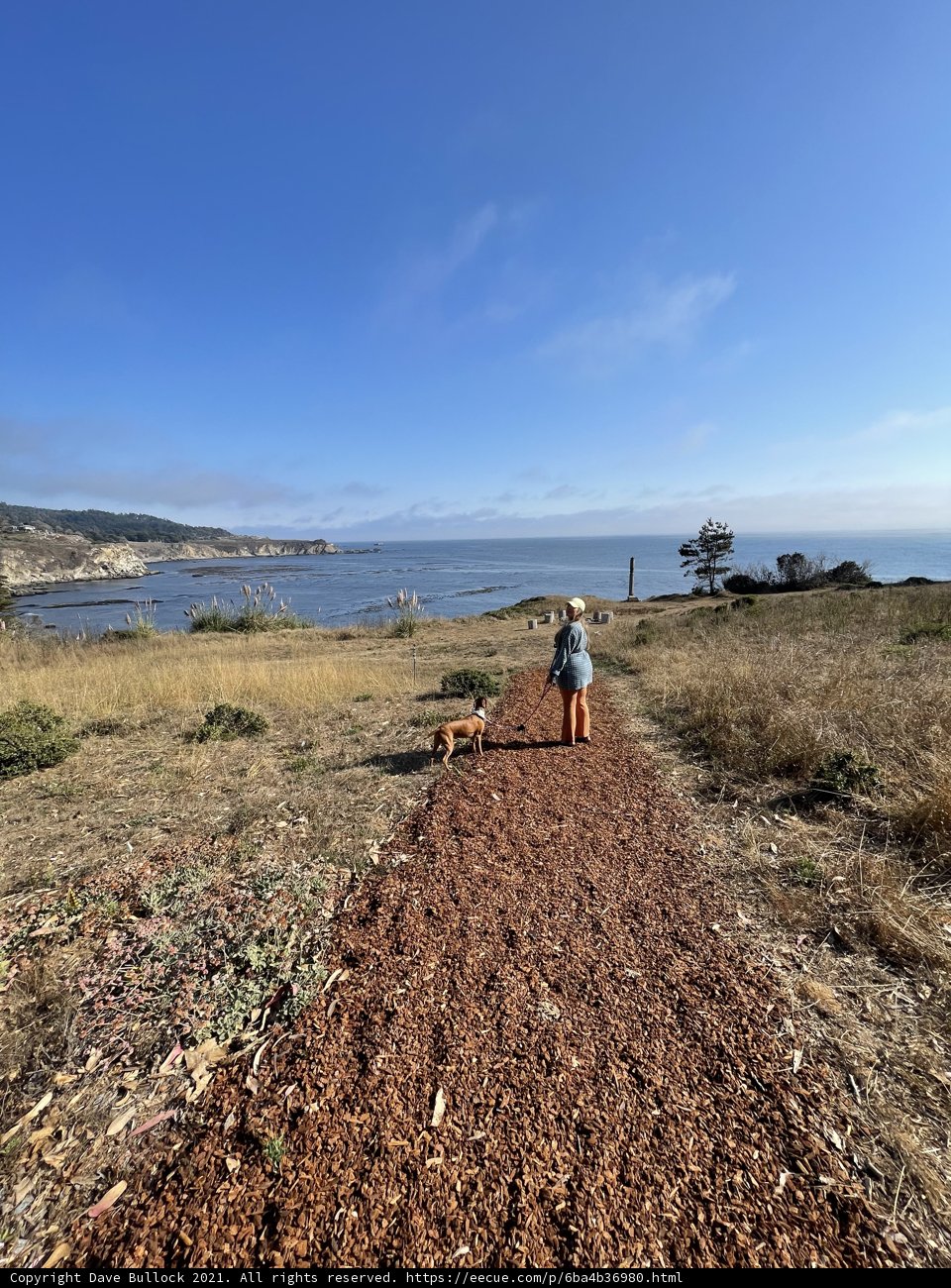 Man and his Dog Take in the Scenery on a Coastal Path