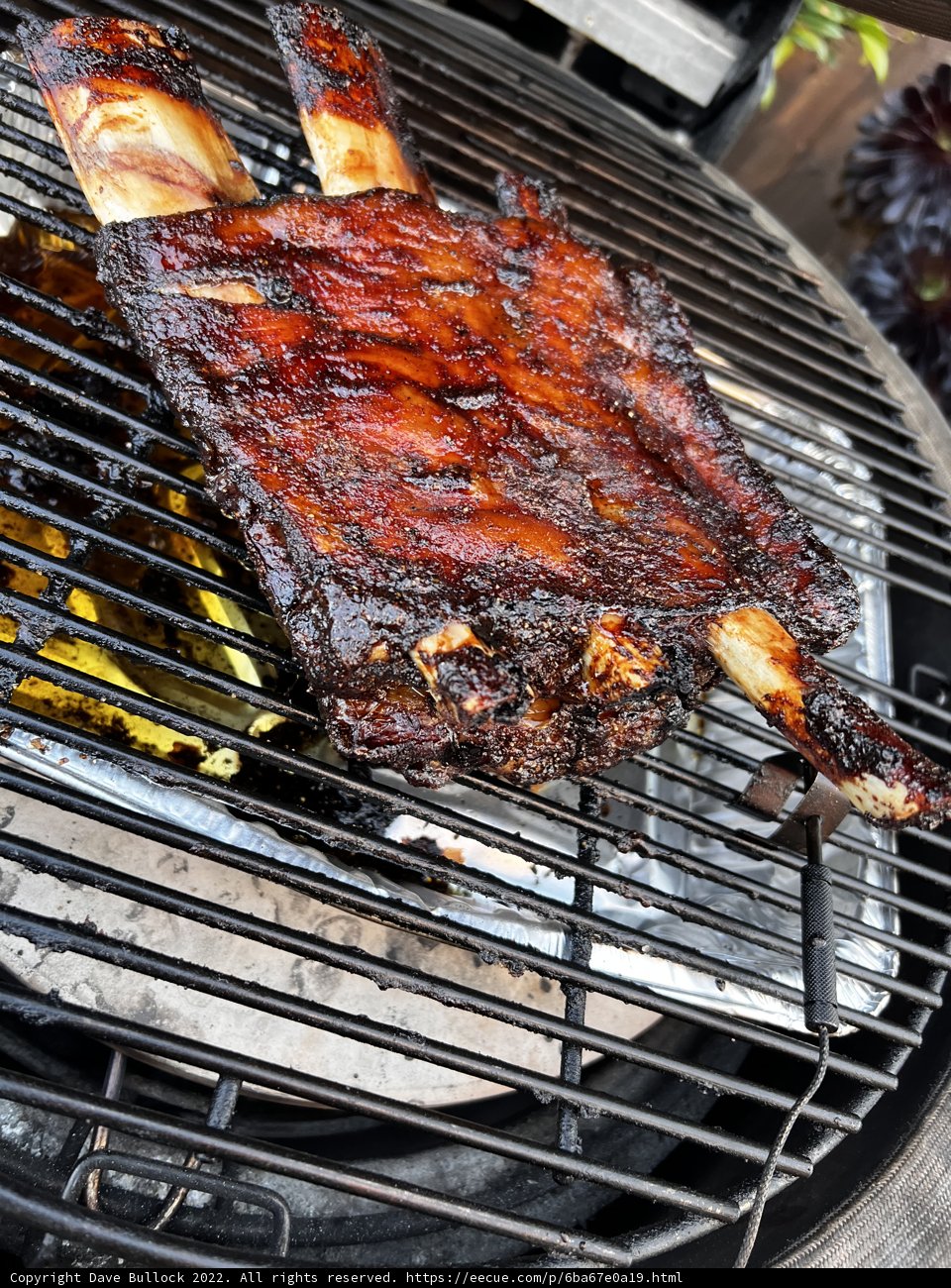 Grilling Up Some Delicious Ribs