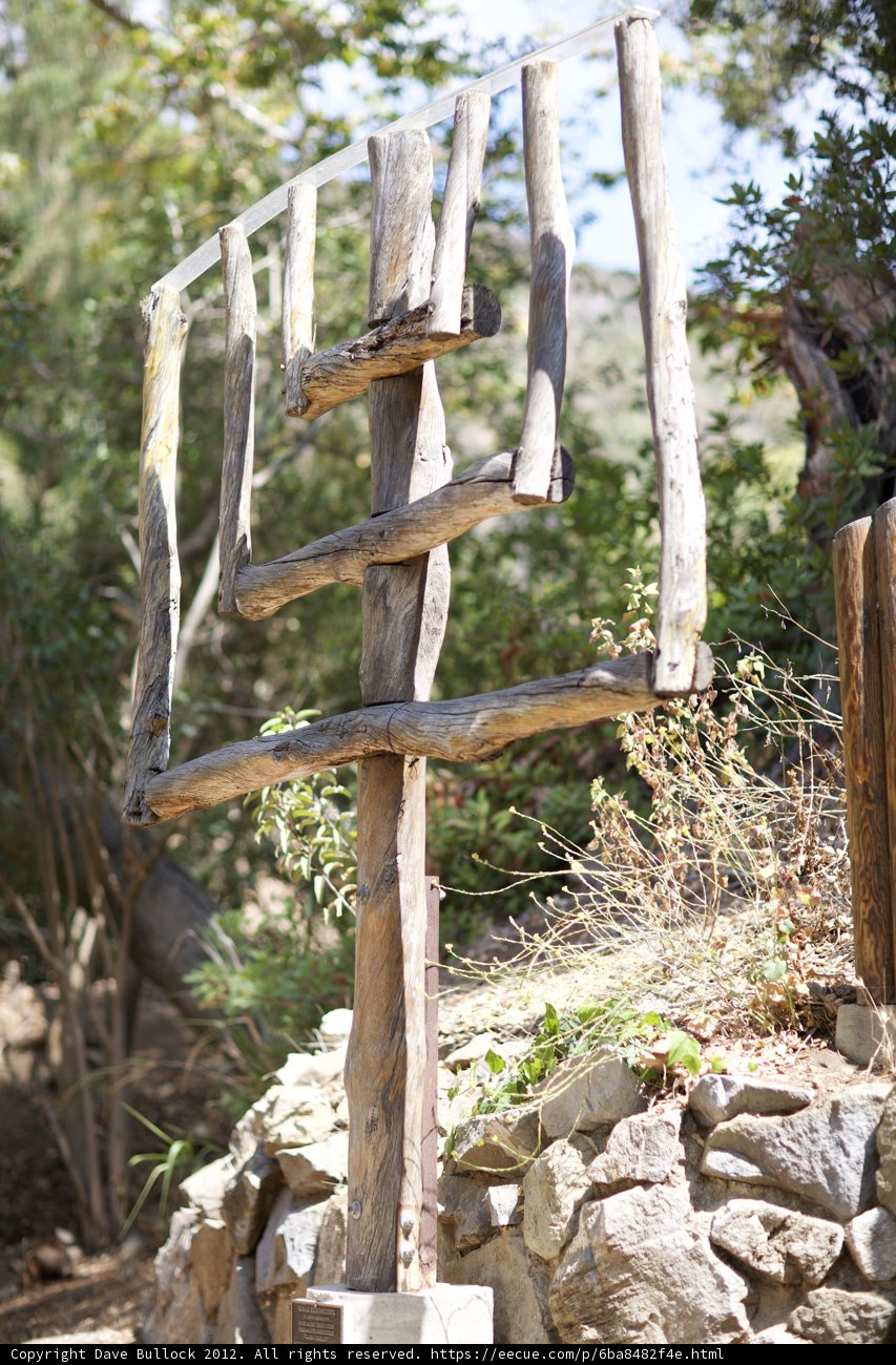 Wooded Tree Sign