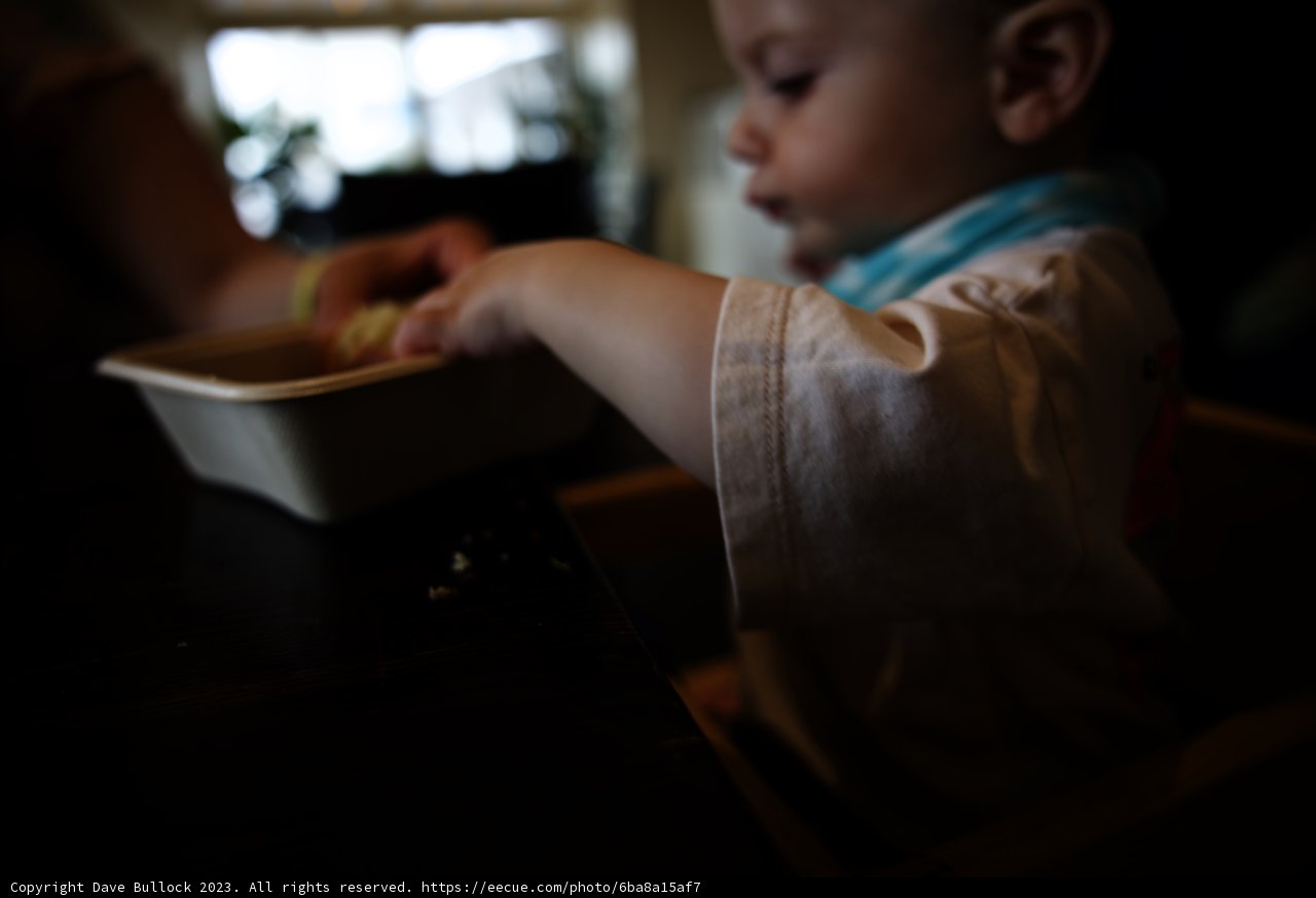 Wes's Delightful Mealtime Adventure