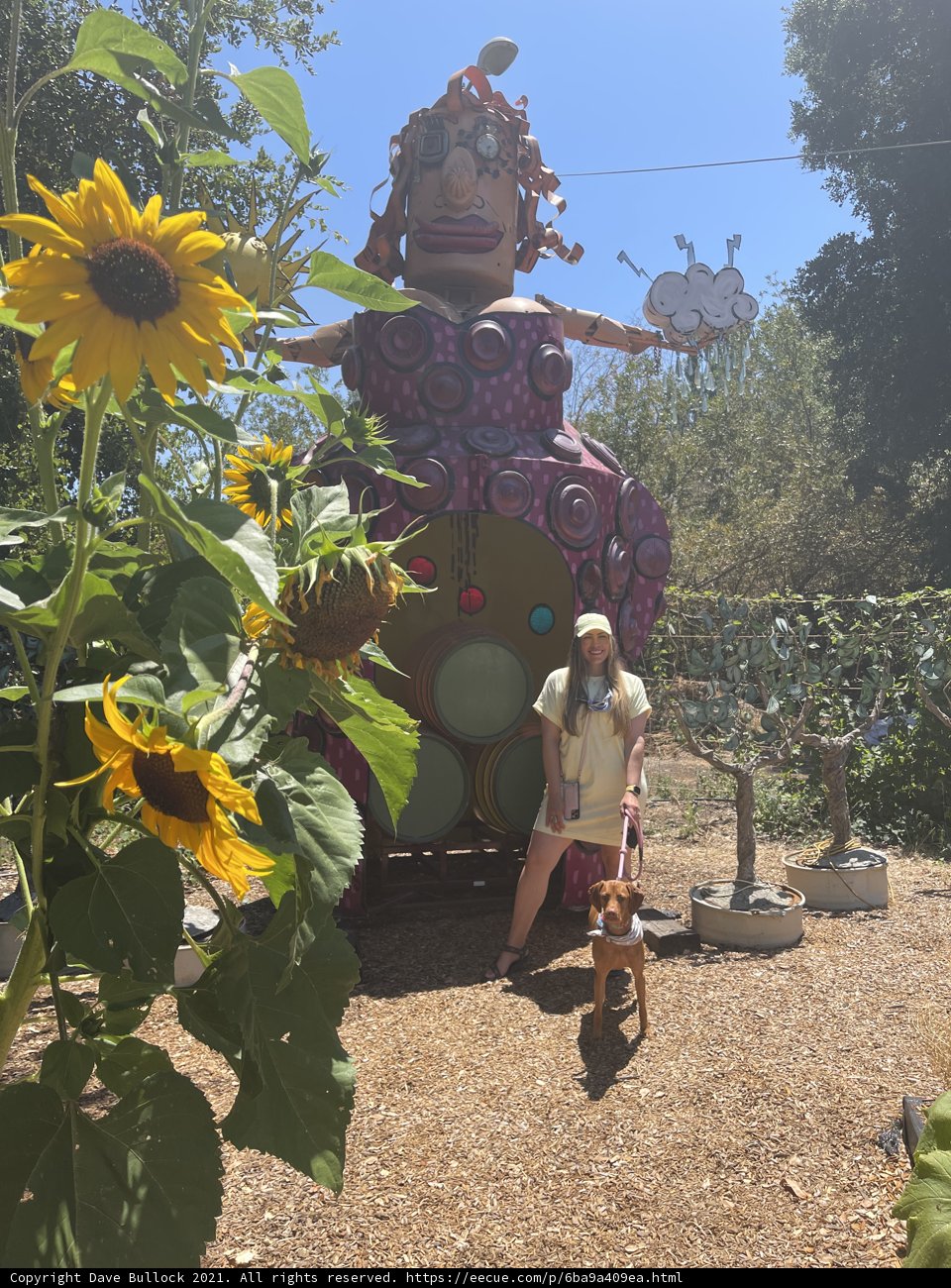 A Woman and Her Dog Bask in the Glory of a Giant Sunflower