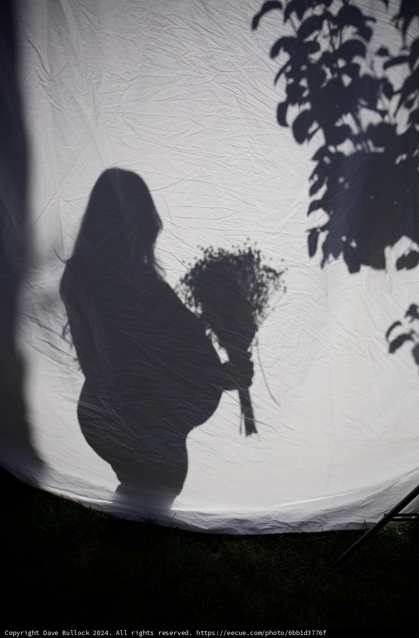 Anticipation in Silhouette