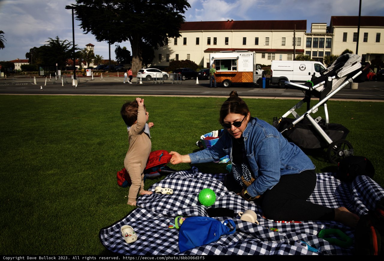 Cherished Moments in Presidio Park