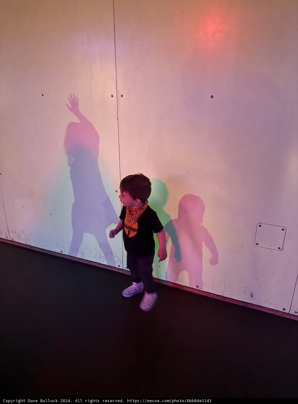 Radiance of Youth
