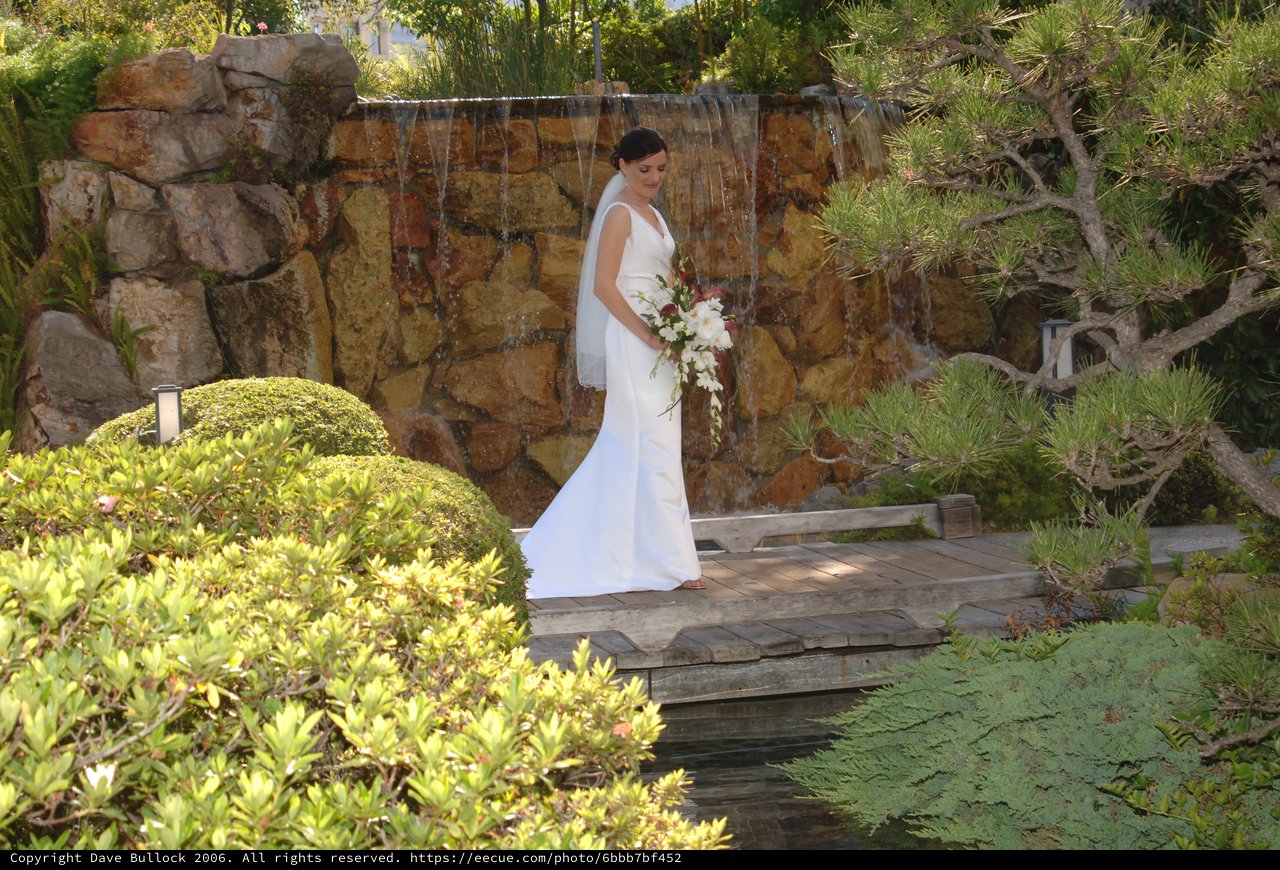 Bride Stands Gracefully Before Garden Waterfall