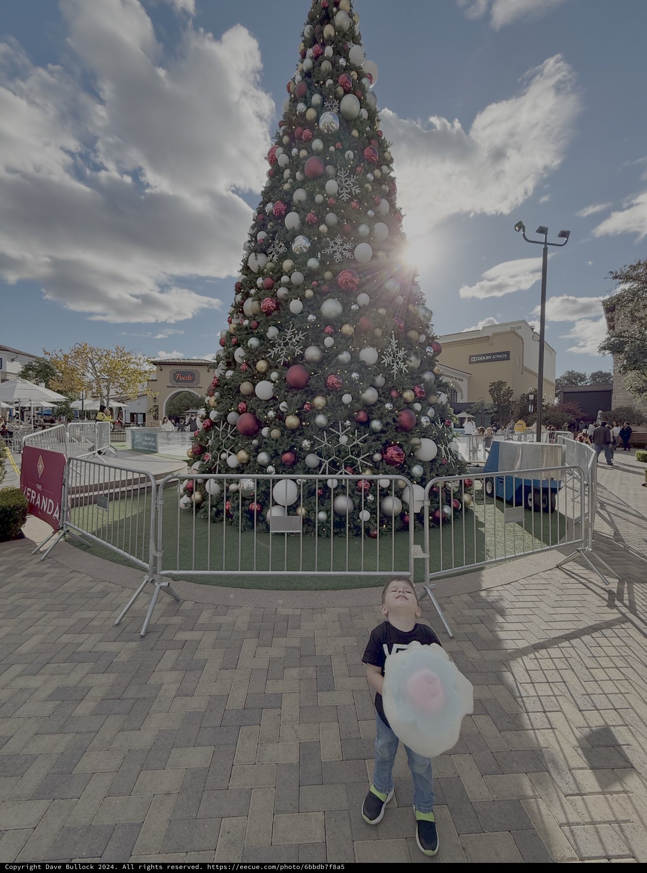 Child with Cotton Candy at Christmas Tree